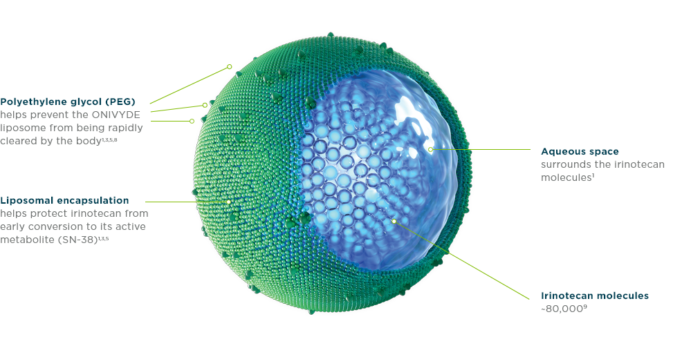 Mechanism Of Delivery | ONIVYDE® (irinotecan Liposome Injection) | HCP ...